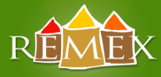 Logo Remex