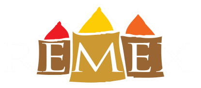 Logo Remex