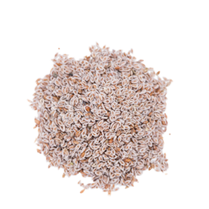 Psyllium