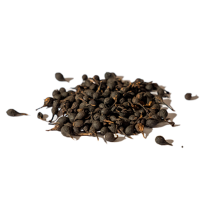 Poivre sauvage de Madagascar